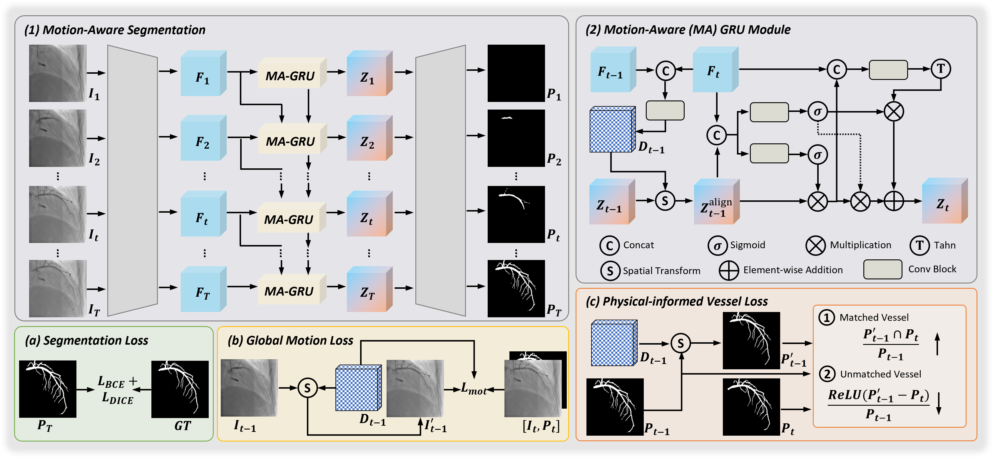 Weakly-Supervised Coronary Artery Segmentation from DSA Sequence via Motion-Aware Modeling